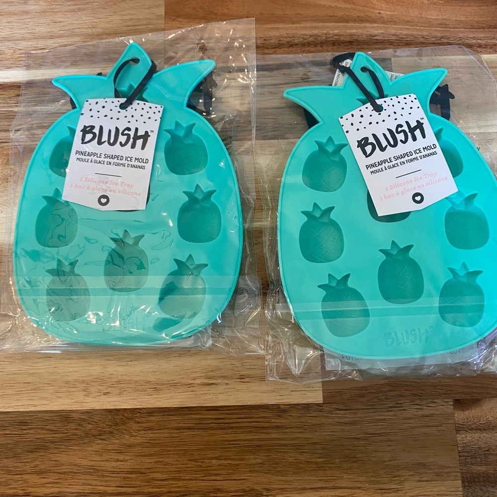 2 Blush Pineapple Shapped Ice Mold. NWT